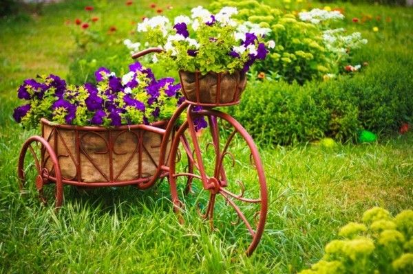 Ein altes Fahrrad hat eine zweite Chance bekommen und strahlt voller herbstlicher Blumenpracht der Petunien