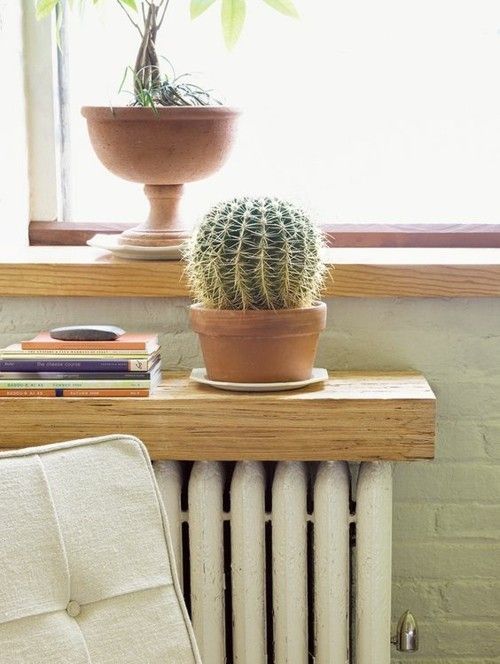 cactus-wooden board-windowsill-radiator-shelf-books