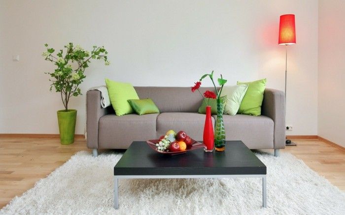 modern-sofa-in-cozy-living-room