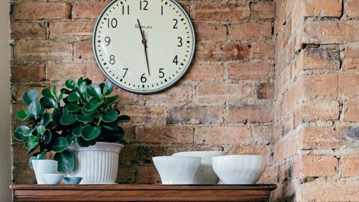 perfect-houseplants-rubber-tree-brick-wall-clock