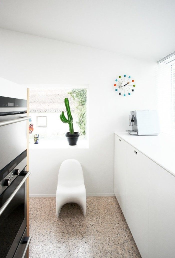 perfect-house-plants-cactus-by-the-window-modern-kitchen