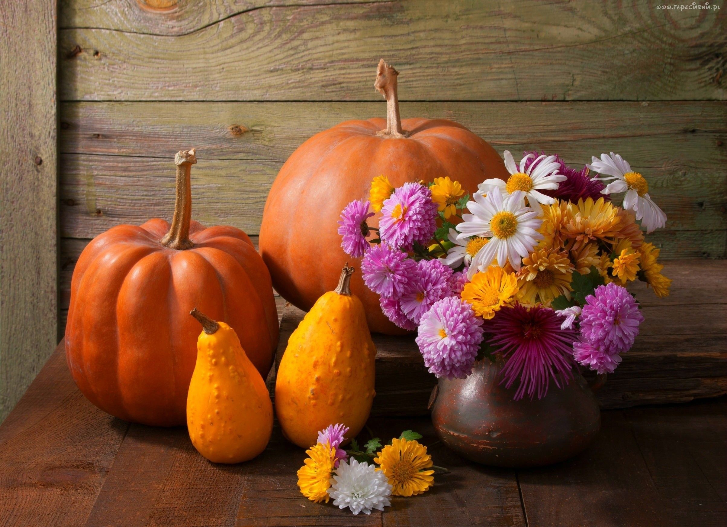 Herbstdekoration zuhause - Trendomat.com