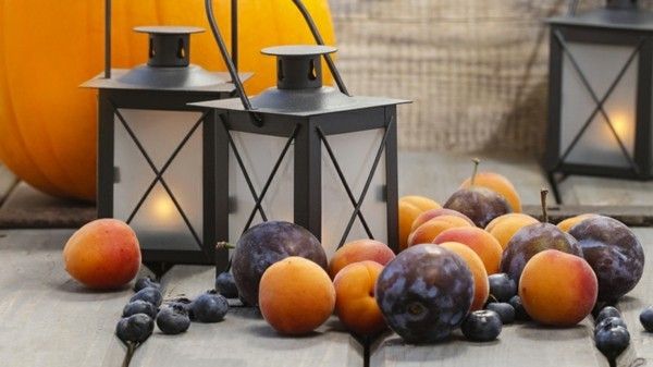 autumn-decoration-with-a-large-turbo-lantern-and-ripe-fruit