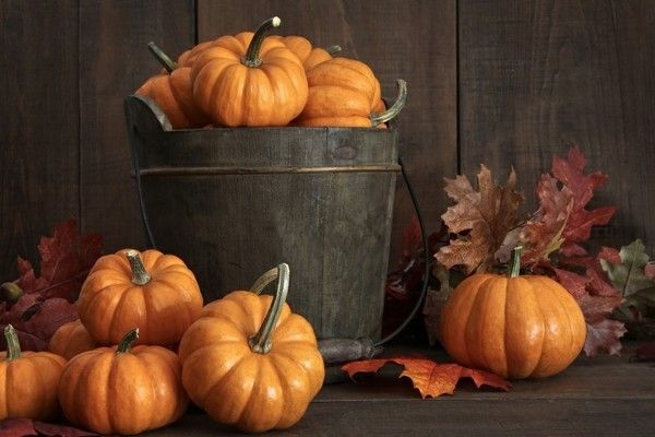 Tiny pumpkins in wooden bucket on table