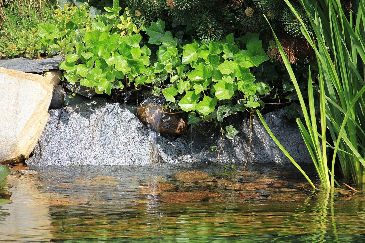 Naturteich macht Ihre Gartenoase komplett - Trendomat.com