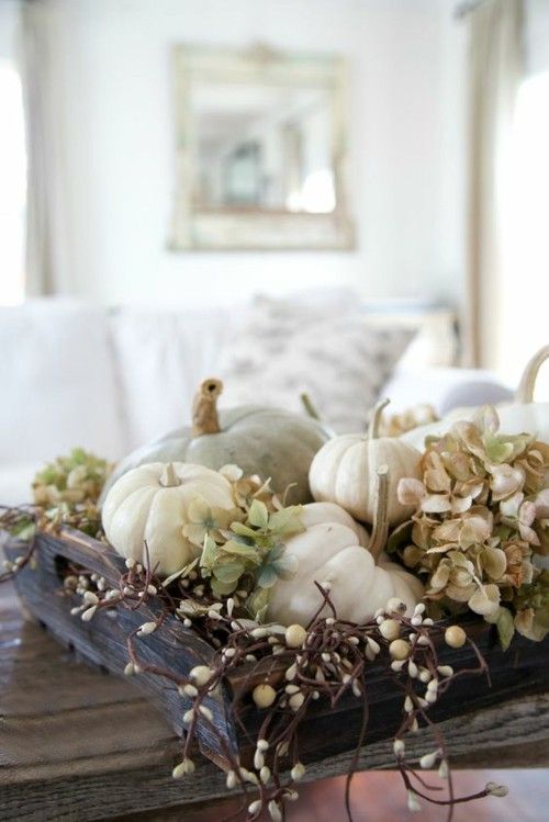 elegant-ideas-for-autumn-decoration-in-white