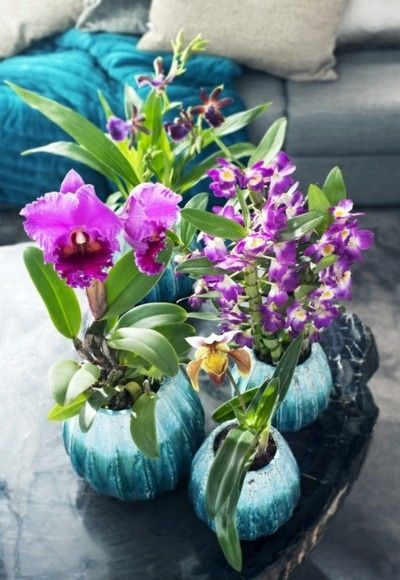 orchid decoration