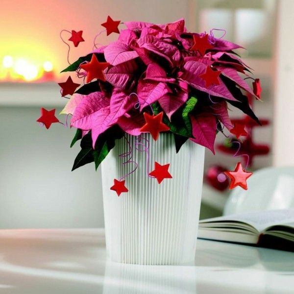 decoration-with-poinsettias