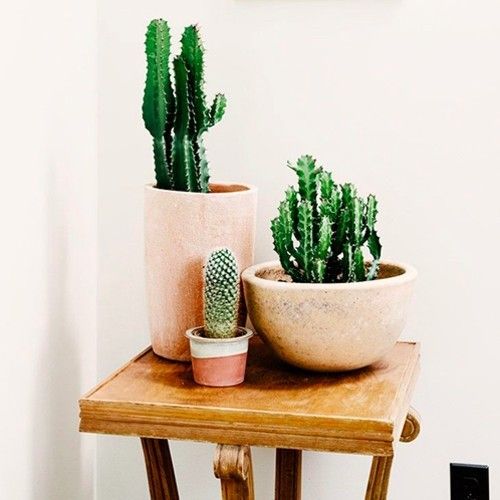 cacti-in-a-pot-side-table