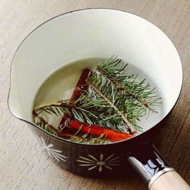 Cooking pot-pine branches-cinnamon sticks