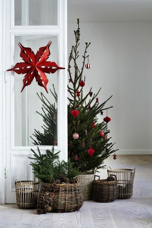 country-house-decoration-fir-tree-nature-on-wood