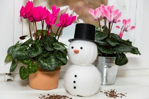 Pots of cyclamen light pink pink snowman - Christmas decoration