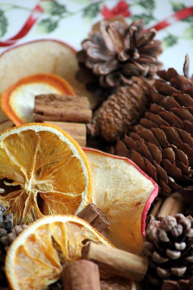 cones-fruit-slices-star anise-plate