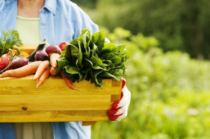 Fresh fruits vegetables seeds healthy recipes prefer no meat - vegetarians