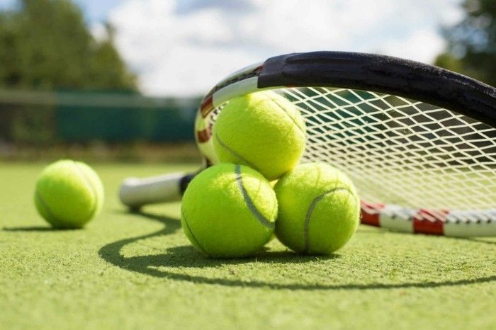 Löwe dynamische Natur aktive Sportbetätigungen Tennis spielen ein paar Mal - Woche