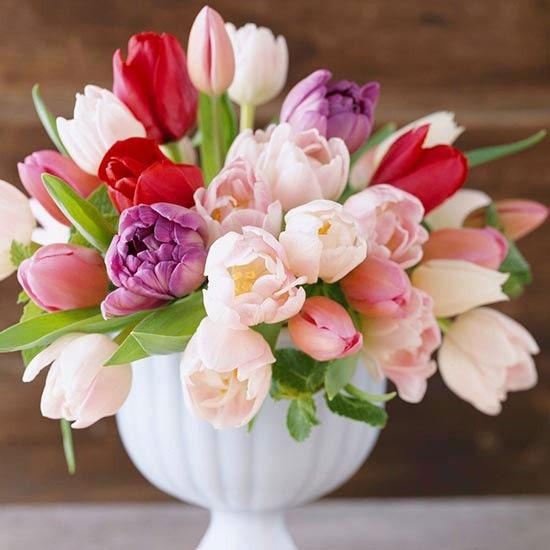 Tulpen Tulpensträuße weiße Vase Tisch