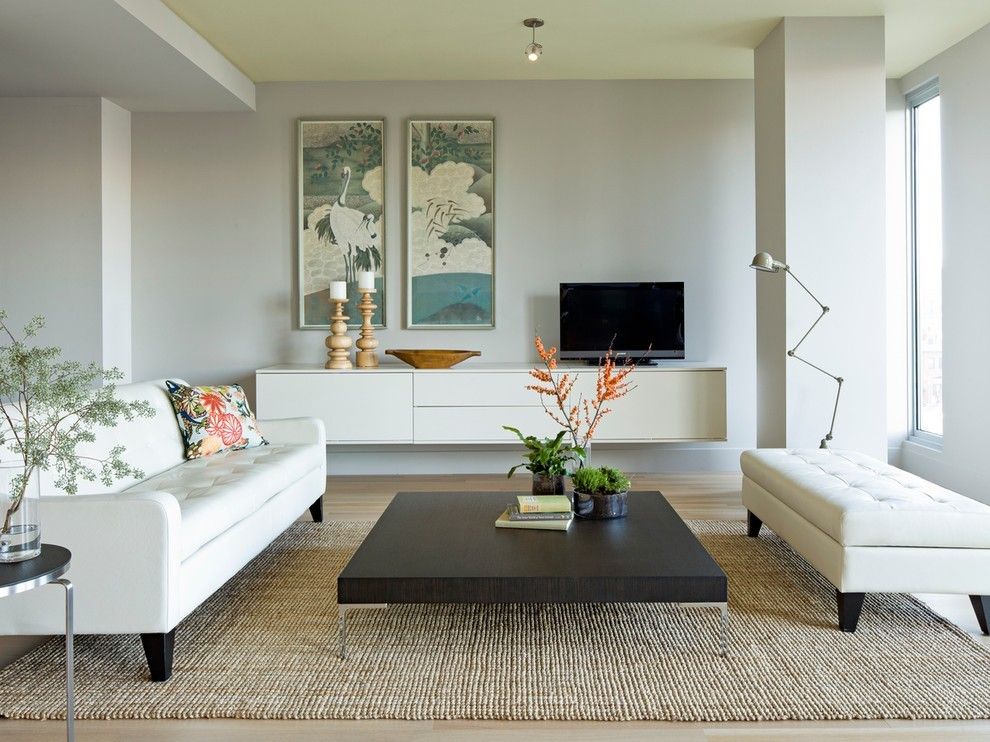 Modern living room - ideas for interior design