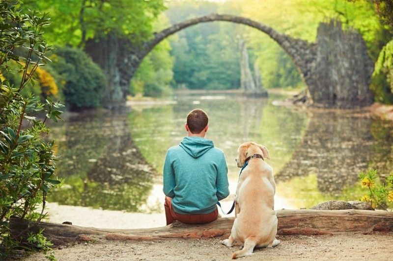sich erholen am See Ruhe genießen Relax- mit dem Hund lange Spaziergänge im Park die Natur bewundern
