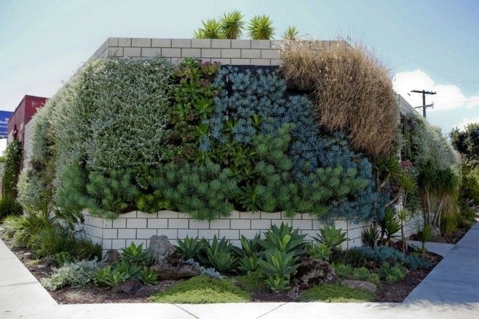 Vertikale Gärten und grüne Wände ideen