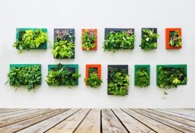 Think green: 15 Ideen für einen vertikalen Garten zu Hause