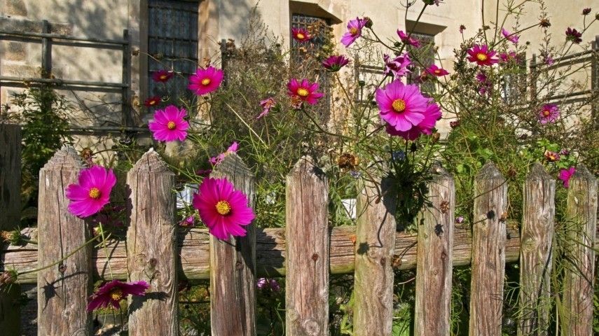 Ein Bauerngarten Kann Ihnen Die Gewunschte Ruhe Und Gelassenheit