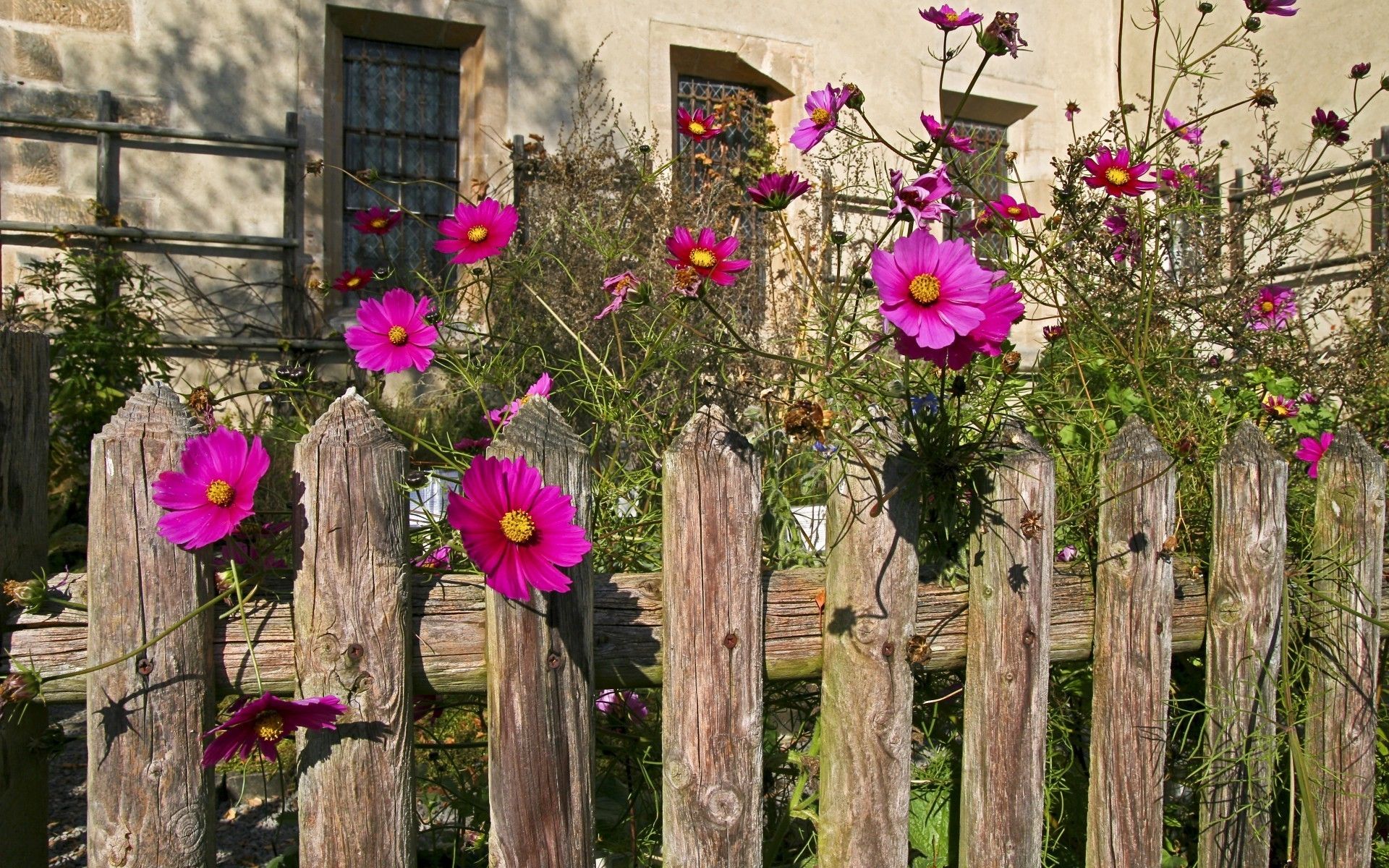 Ein Bauerngarten kann Ihnen die gewünschte Ruhe und Gelassenheit bieten