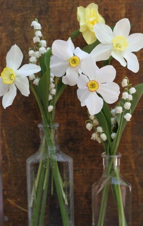 Frühlingsblumen Narzissen Maiglocken Vase
