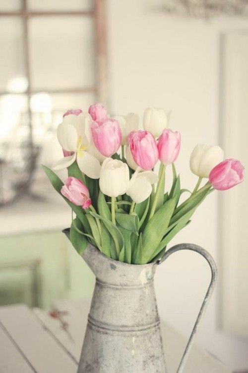 Frühlingsblumen Tulpen keine Vase