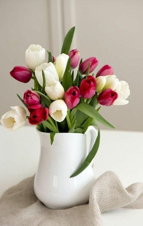 Frühlingsblumen weiße Vase weiße rote Tulpen