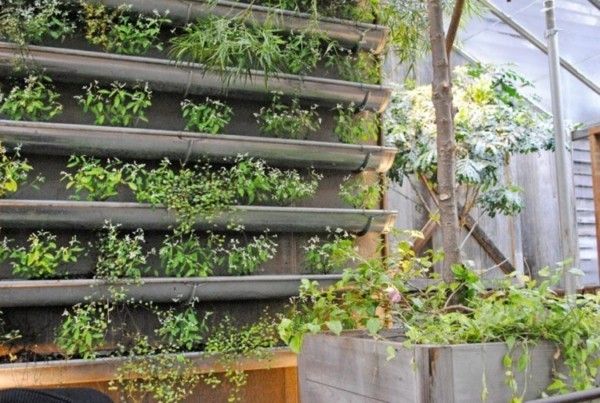 Think green: 15 Ideen für einen vertikalen Garten zu Hause - Trendomat.com