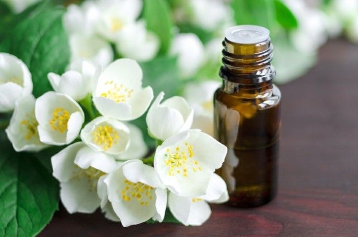 Jasmin Blüten Einsatz Kosmetik Aromatherapie