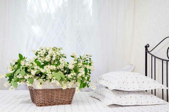 schönes frisches Schlafzimmer Jasmin Pflanze Blumenkorb