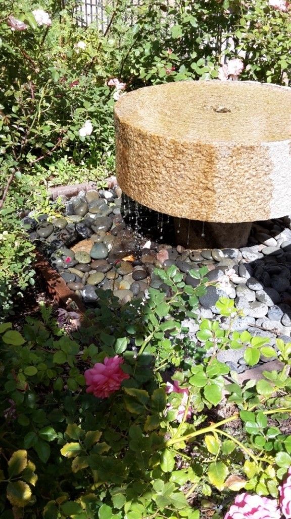Zierkies und Splitt für eine innovative und moderne Gartengestaltung