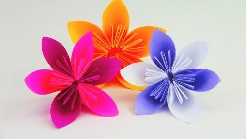 hochwertige Bastelei aus Papier- schöne Blumen in drei Farben