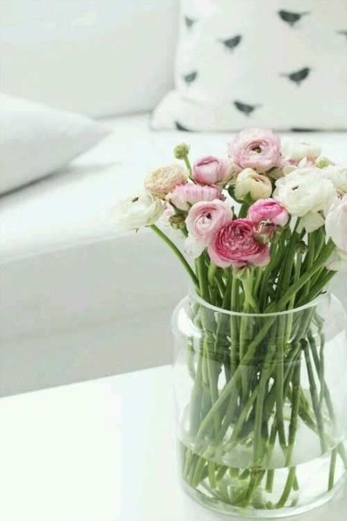 Frühlingsblumen im Haus in Vase schöner Blick