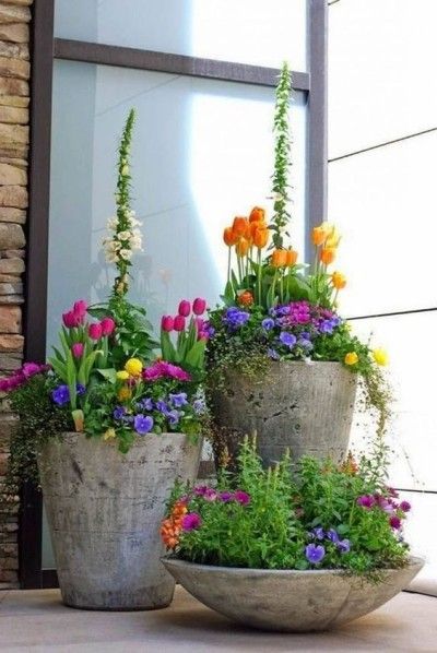 Gartengestaltung Ideen tolles Arrangement drei Steintöpfe bunte Tulpen Stiefmütterchen