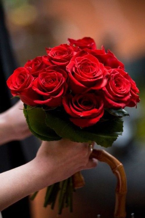 rote rosen valentinstag