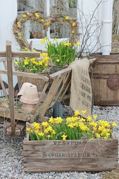 rustikale Gartengestaltung Ideen gelbe Narzissen Osterzeit