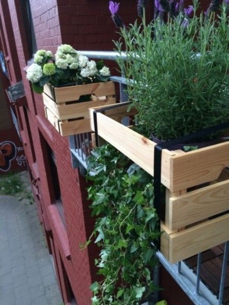 Schöne Balkonpflanzen machen aus einem Balkon eine grüne Oase