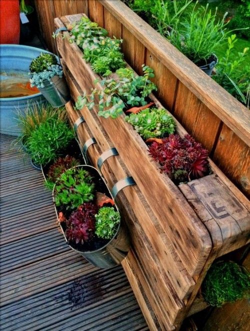 Balkonpflanzen eingepflanzt ins Holzgestell Pflanzkübel Zink hängende Blumendeko