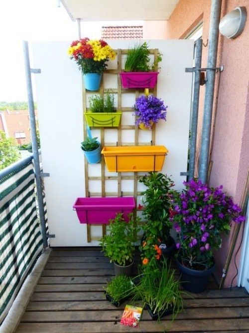 Kleiner Balkon mit verschiedenen Pflanzen und Kräutern