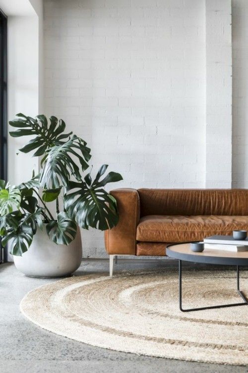Modernes Wohnzimmer Ideen für Betonboden runder Teppich grüne Zimmerpflanze Sofa Naturfarben