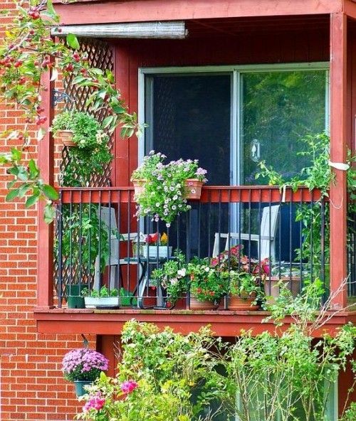 Schöne Balkongestaltung viele farbenfrühe Balkonpflanzen Traumbalkon kreieren