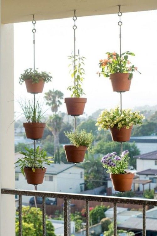 Schöne Balkonpflanzen Hängeampeln Highlights auf dem Balkon als Sichtschutz dienen