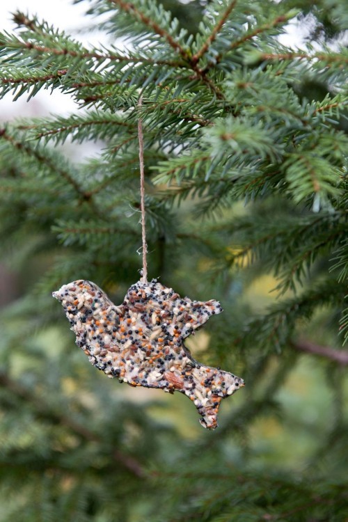 Kleiner Vogel aus Samen basteln Weihnachtsschmuck