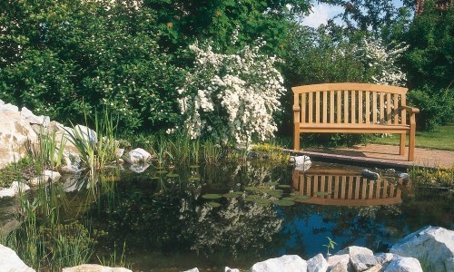 Se machen den Teich noch schöner romantischer und vor allem sauberer.
