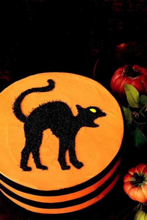 Halloween Kuchen Deko schwarze Katze auf orangenfarbenem Hintergrund