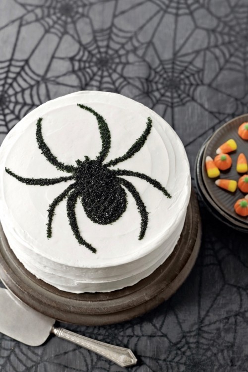 Halloween Kuchen Deko schwarze Spinne auf weißem Hintergrund