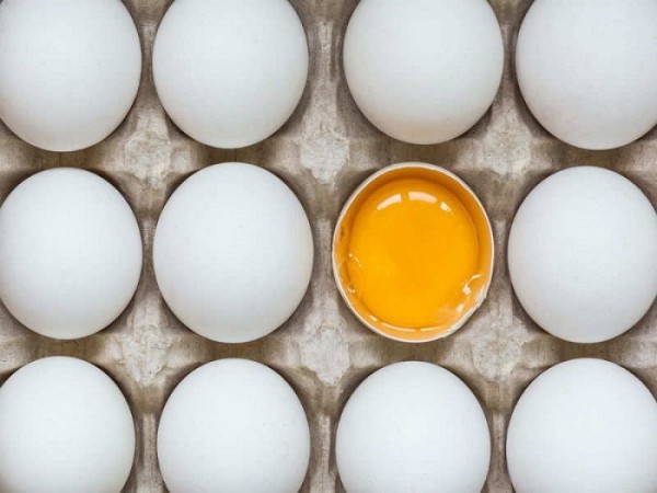 Lebensmittel nicht im Kühlschrank aufbewahren Eier umstritten