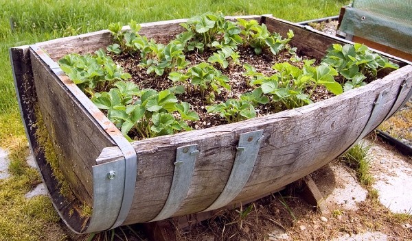 Gartenprojekte für Selbermacher aus ausgedientem Fass ein Hochbeet für Kräuter basteln